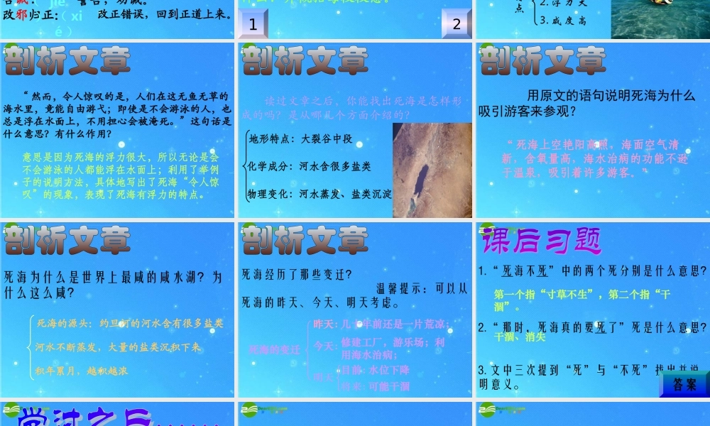 七年级语文上册 (死海不死)课件 鲁教版 课件