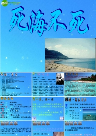七年级语文上册 (死海不死)课件 鲁教版 课件
