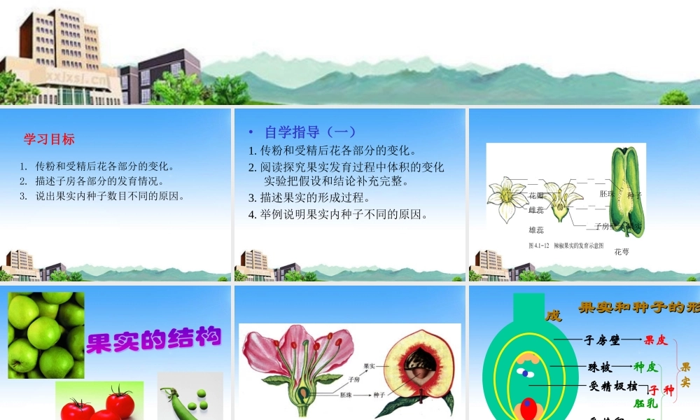 八年级生物上册 果实和种子的形成课件 济南版 课件