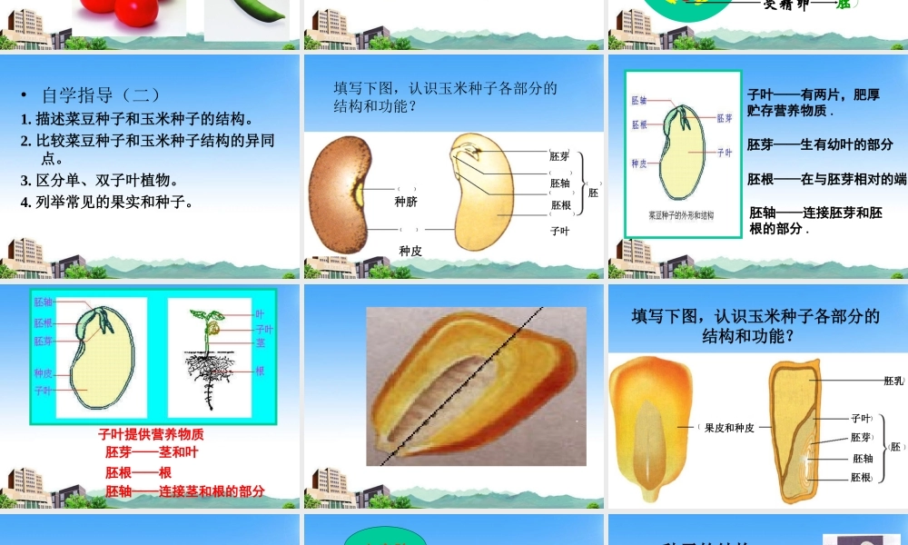 八年级生物上册 果实和种子的形成课件 济南版 课件