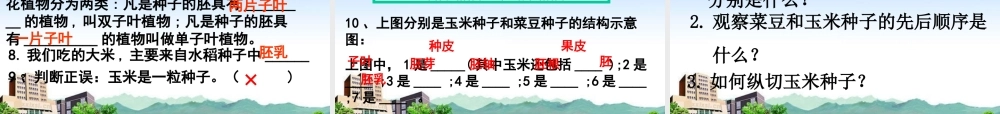 八年级生物上册 果实和种子的形成课件 济南版 课件