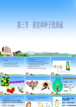 八年级生物上册 果实和种子的形成课件 济南版 课件