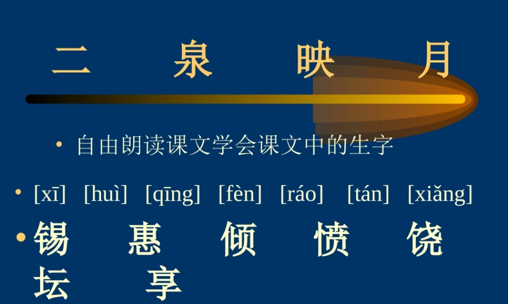 《二泉映月》的教学课件