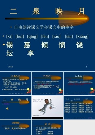 《二泉映月》的教学课件
