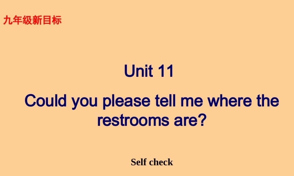 九年级英语 Unit11 Self check课件 人教新目标版 课件