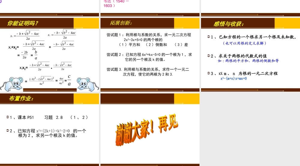 一元二次方程的根与系数的关系定稿