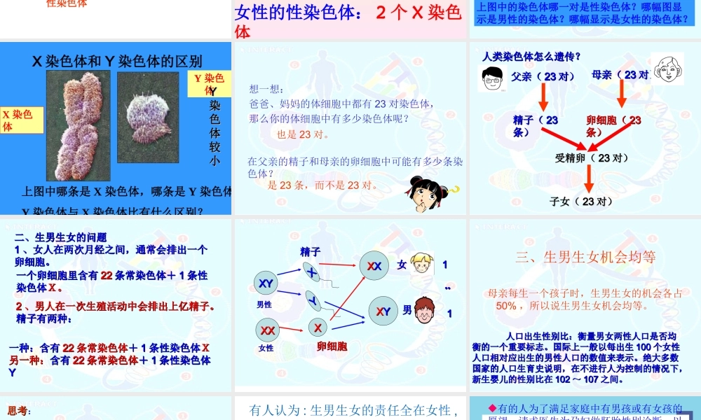 科学家的故事袁隆平与杂交水稻