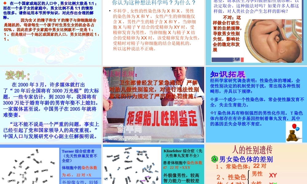 科学家的故事袁隆平与杂交水稻