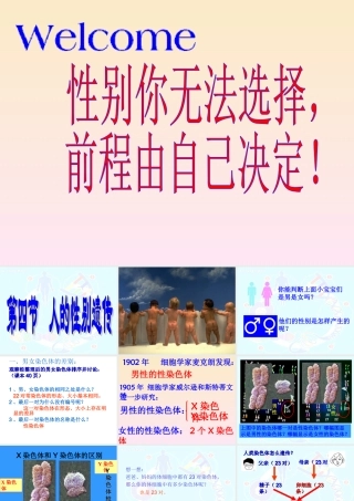 科学家的故事袁隆平与杂交水稻