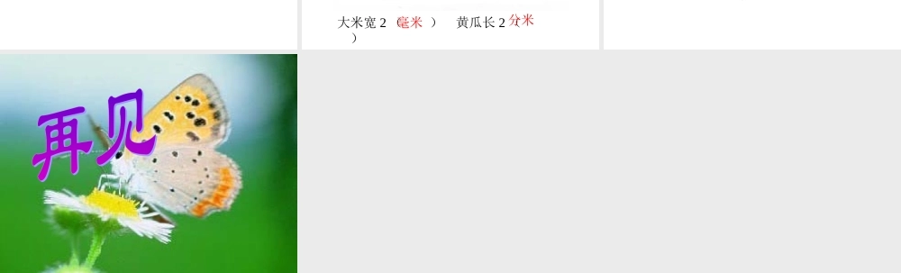 小学数学二年级《分米和毫米》课件