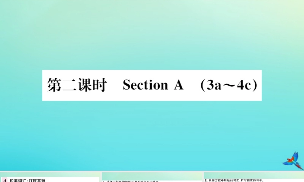 九年级英语全册 Unit 13 We re trying to save the earth(第2课时)习题课件 (新版)人教新目标版 课件