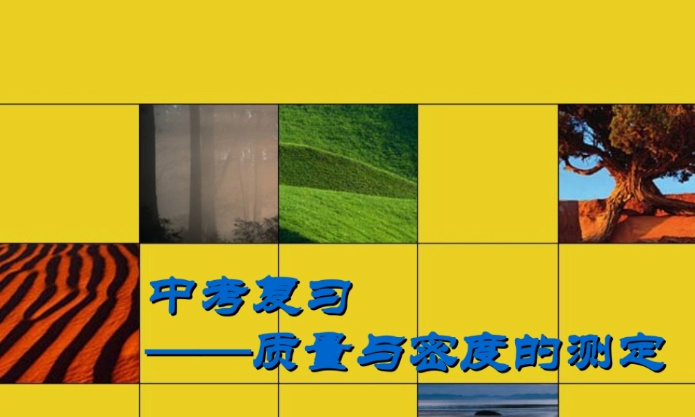 中考复习--质量与密度测量