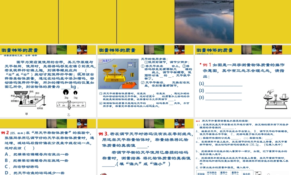 中考复习--质量与密度测量