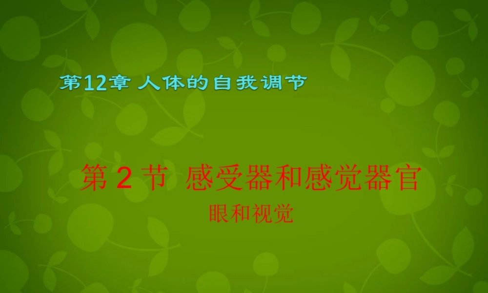 中学七年级生物下册 第四单元 第六章 第2节 第1课时 眼与视觉课件 新人教版 课件