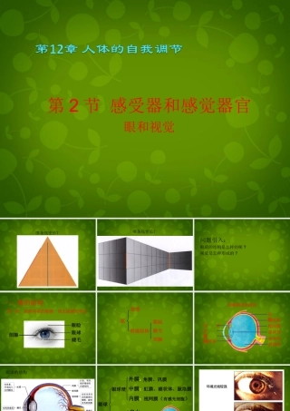 中学七年级生物下册 第四单元 第六章 第2节 第1课时 眼与视觉课件 新人教版 课件