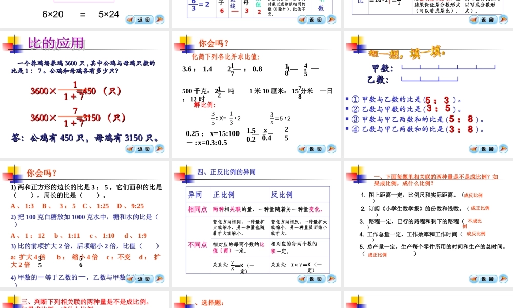 比和比例复习资料2