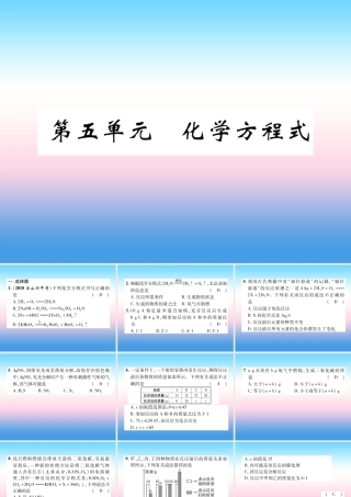 中考化学复习 第1编 教材知识梳理篇 第5单元 化学方程式(精练)课件