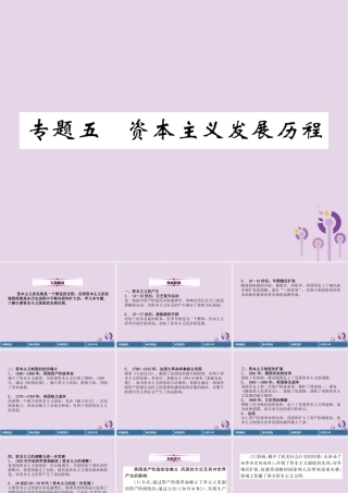 中考历史总复习 第二编 热点专题突破 专题5 资本主义发展历程课件