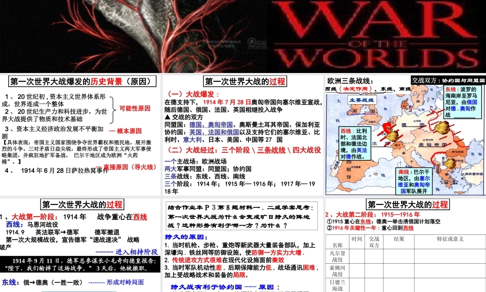 《第一次世界大战》经过