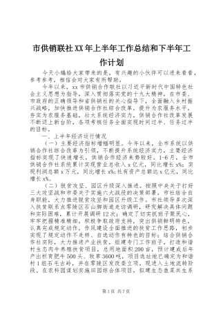 市供销联社XX年上半年工作总结和下半年工作计划