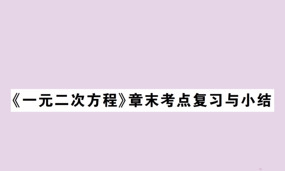 九年级数学上册 2(一元二次方程)章末考点复习与小结习题课件 (新版)北师大版 课件