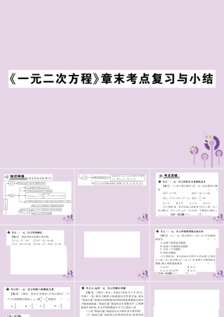 九年级数学上册 2(一元二次方程)章末考点复习与小结习题课件 (新版)北师大版 课件