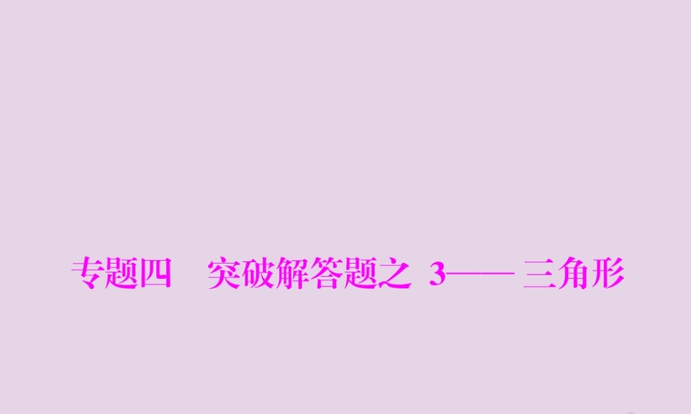 广东省中考数学复习 第二部分 中考专题突破 专题四 突破解答题—三角形课件