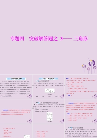 广东省中考数学复习 第二部分 中考专题突破 专题四 突破解答题—三角形课件