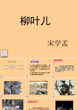 七年级语文下册 (柳叶儿)课件 苏教版 课件