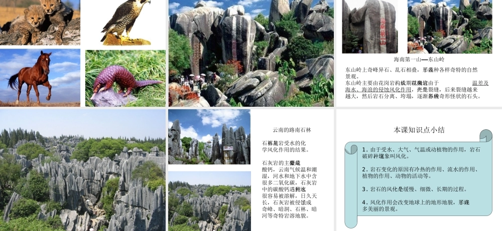 岩石会改变模样吗》