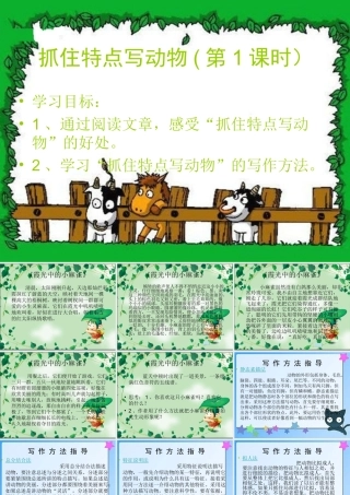 抓住特点写动物(1)