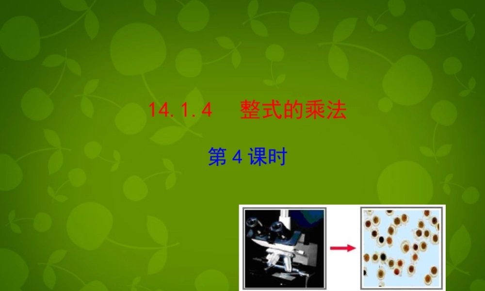 八年级数学上册 14.1.4 整式的乘法课件4 (新版)新人教版 课件