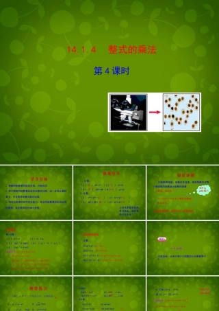 八年级数学上册 14.1.4 整式的乘法课件4 (新版)新人教版 课件