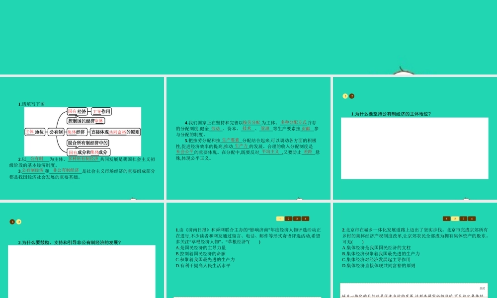 九年级政治全册 第一单元 认识国情 了解制度 12 富有活力的经济制度(第2课时)习题课件 粤教版 课件