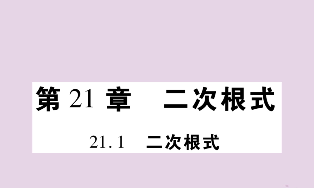 九年级数学上册 第21章 二次根式 211 二次根式习题课件 (新版)华东师大版 课件
