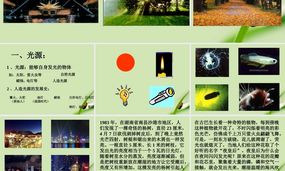 八年级物理上册 第二章第一节光的传播课件 人教新课标版 课件