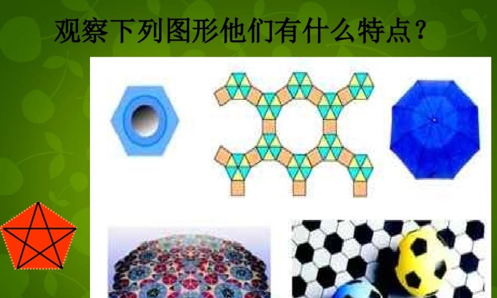 九年级数学上册 243 正多边形和圆课件2 (新版)新人教版 课件