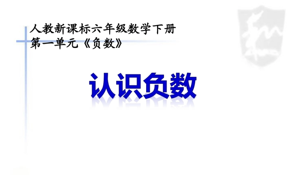 《负数》例1、2（石）
