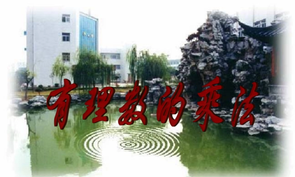 杨丽萍有理数的乘法