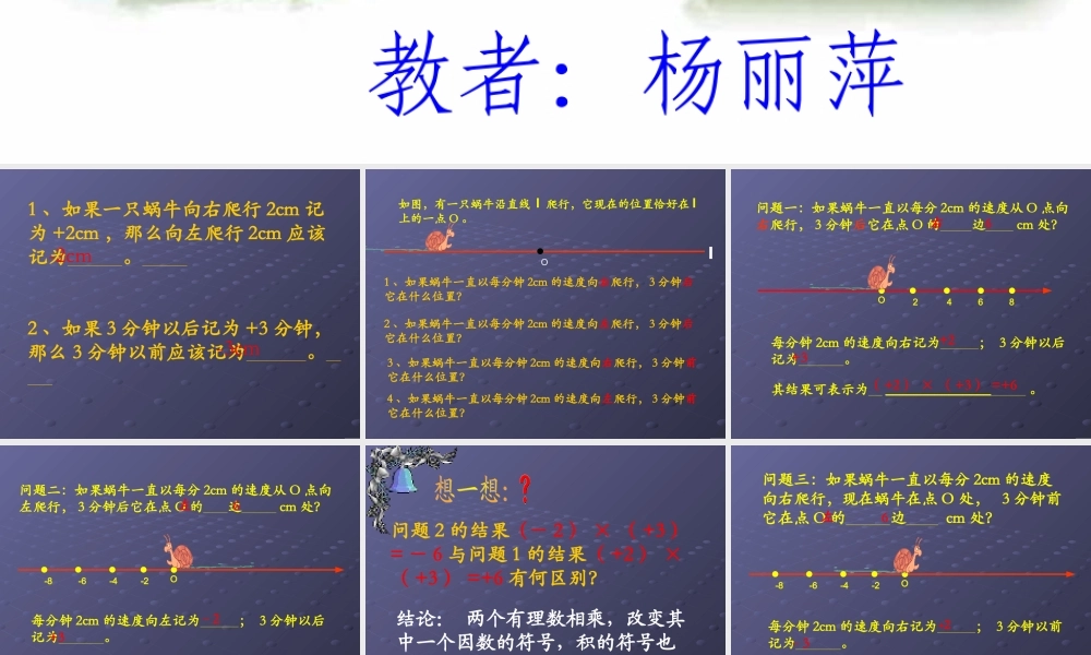 杨丽萍有理数的乘法