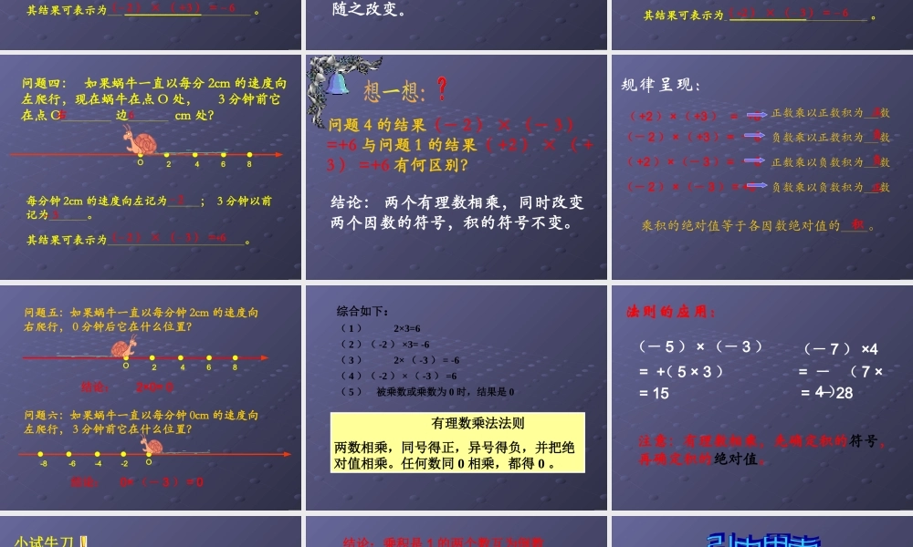 杨丽萍有理数的乘法