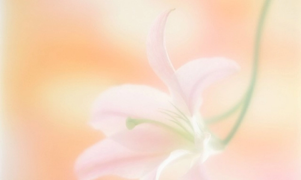 本人常用的课件模版