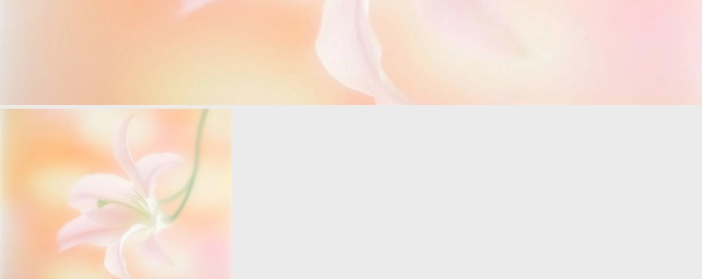 本人常用的课件模版