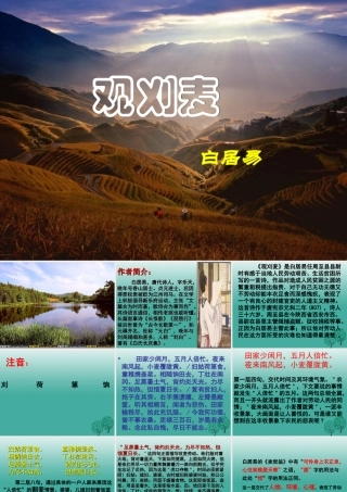 八年级语文上册 第30课(观刈麦)课件 (新版)语文版 课件