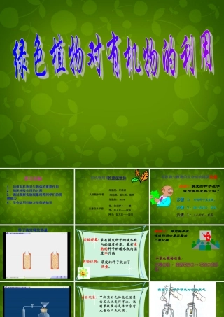 中学七年级生物上册(3.4.2 绿色植物对有机物的利用)课件 新人教版 课件