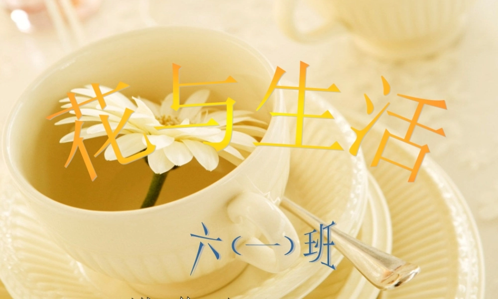 学生实践作业刘倩(1)