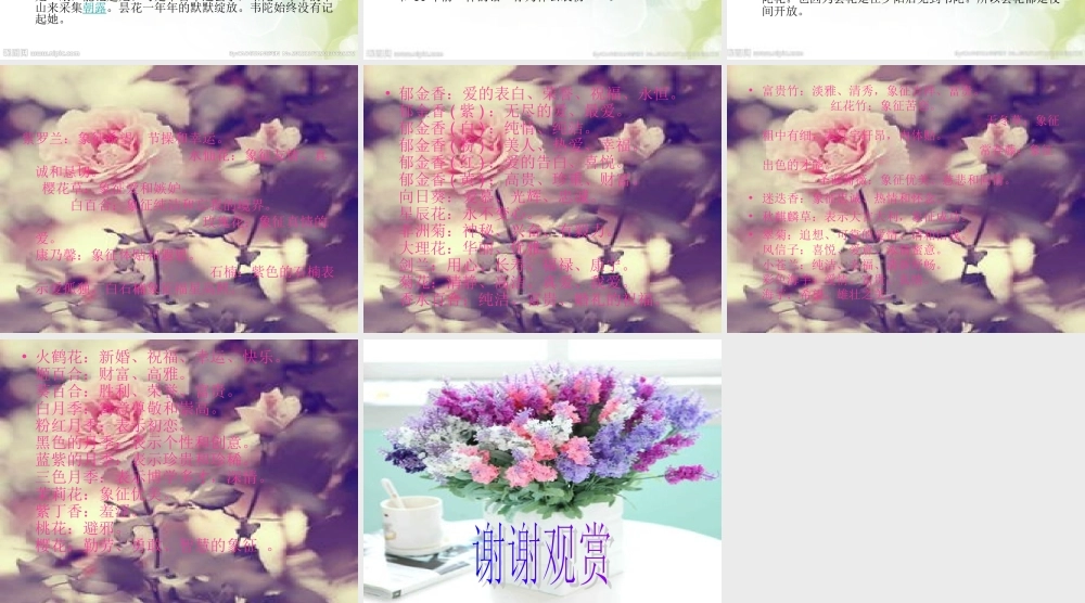 学生实践作业刘倩(1)