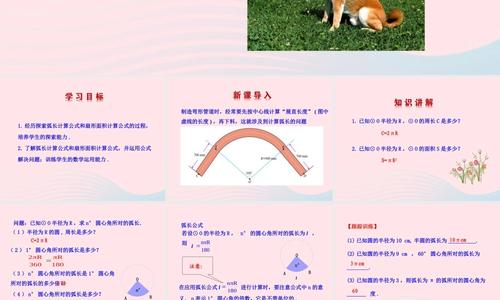 九年级数学下册 第28章圆283圆中的计算问题 1 弧长和扇形的面积课件 华东师大版 课件