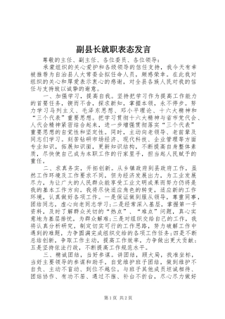 副县长就职表态发言