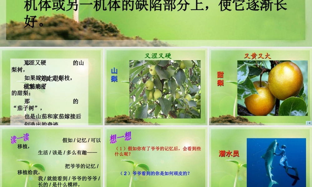 《假如记忆可以移植》课件